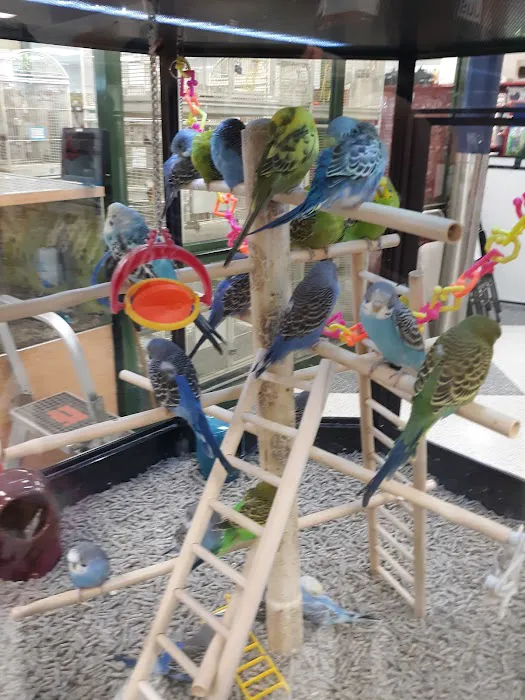 Petco Picture 5