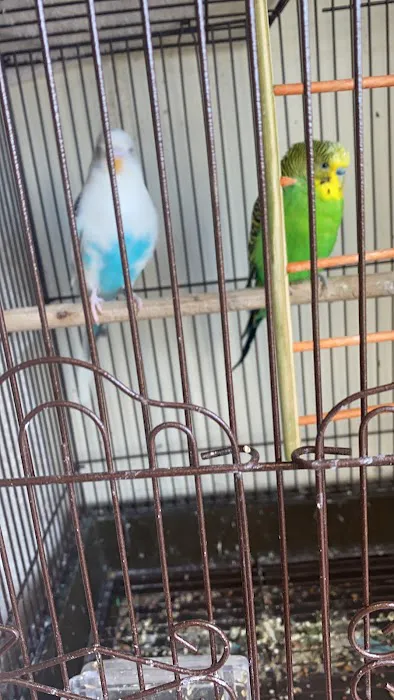 Petco Picture 4