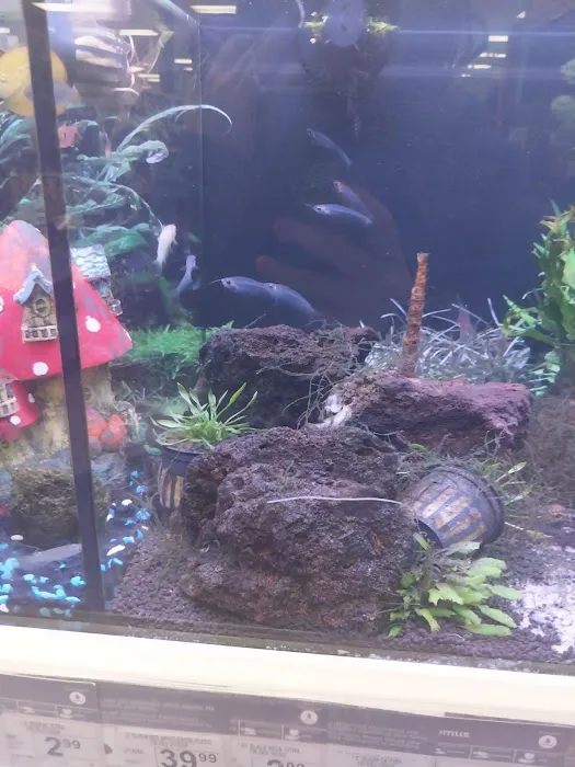 Petco Picture 9