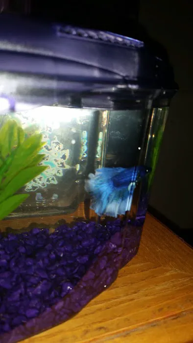 Petco Picture 10