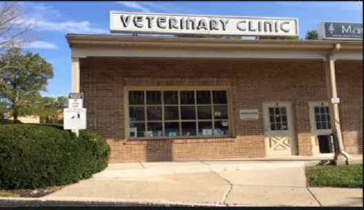 The Animal Clinic Picture 3