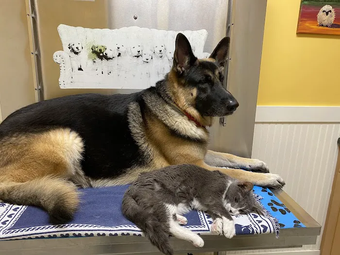 Exton Vet Clinic Picture 2