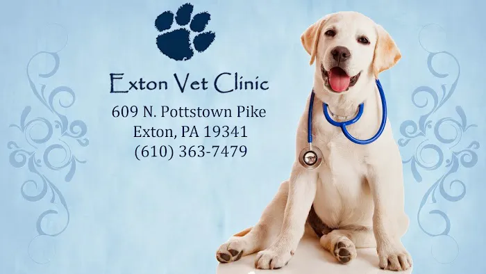 Exton Vet Clinic Picture 1