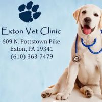 Exton Vet Clinic ico