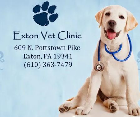 Exton Vet Clinic