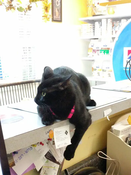 Exton Vet Clinic Picture 9