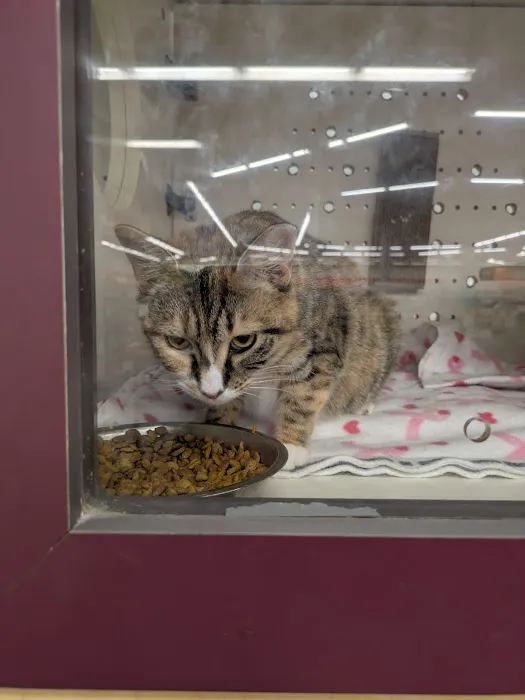 Petco Picture 7
