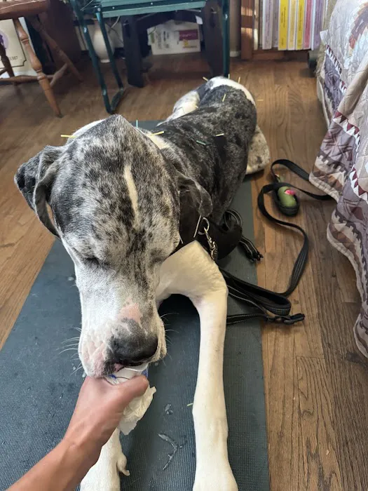 Dr. McKinstry's Holistic Veterinary Clinic Picture 1