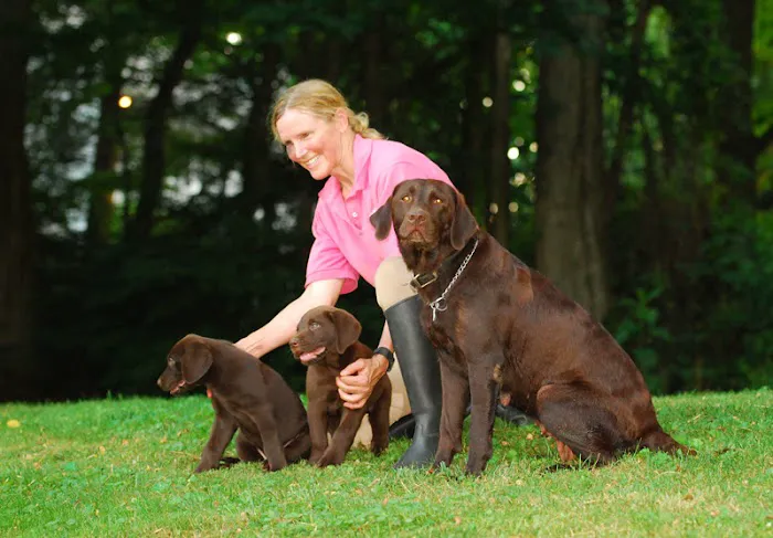 Dr. McKinstry's Holistic Veterinary Clinic Picture 3