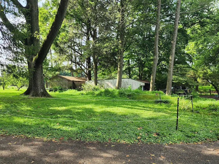 Dr. McKinstry's Holistic Veterinary Clinic Picture 6