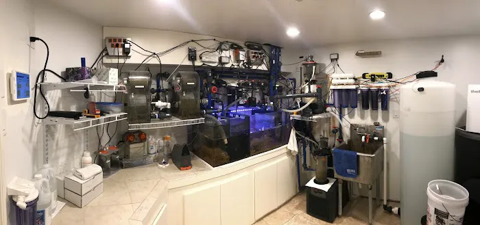 Aquatic Start Aquarium Service Picture 3