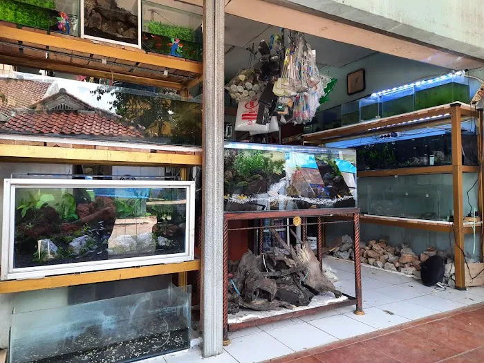Aquatic Start Aquarium Service Picture 1