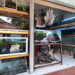 Aquatic Start Aquarium Service