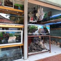 Aquatic Start Aquarium Service ico