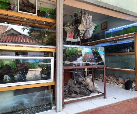 Aquatic Start Aquarium Service