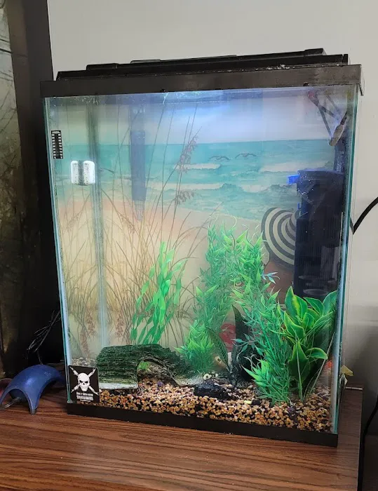 Aquatic Start Aquarium Service Picture 4