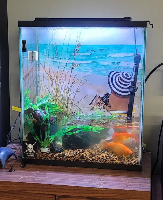Aquatic Start Aquarium Service Picture 5