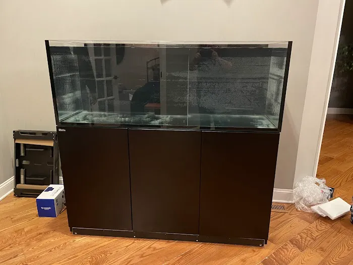 Aquatic Start Aquarium Service Picture 6