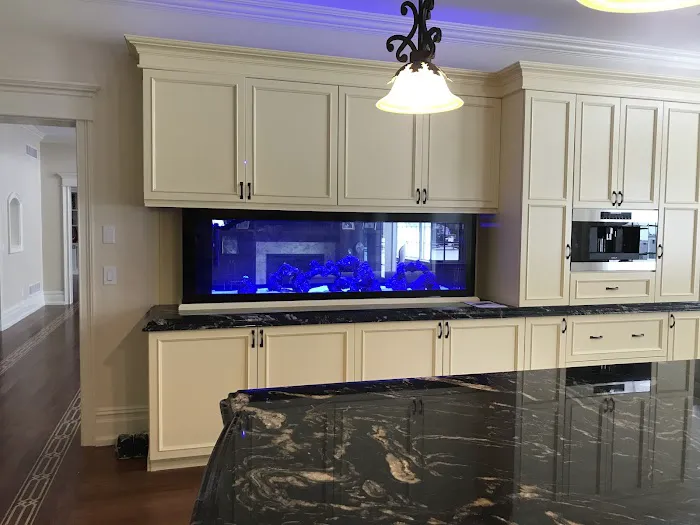 Aquatic Start Aquarium Service Picture 9
