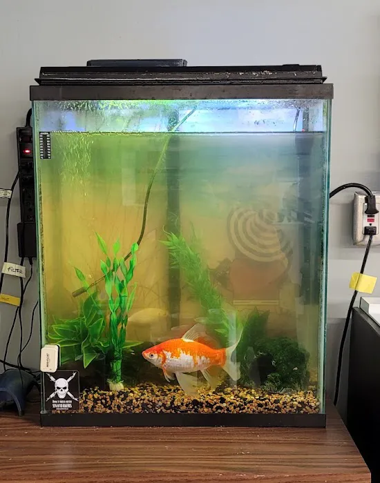 Aquatic Start Aquarium Service Picture 10