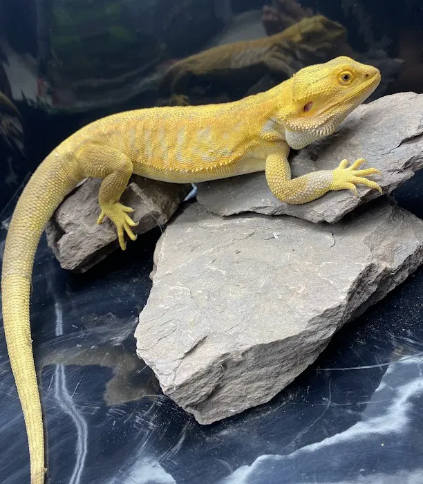 People's Pets Picture 5