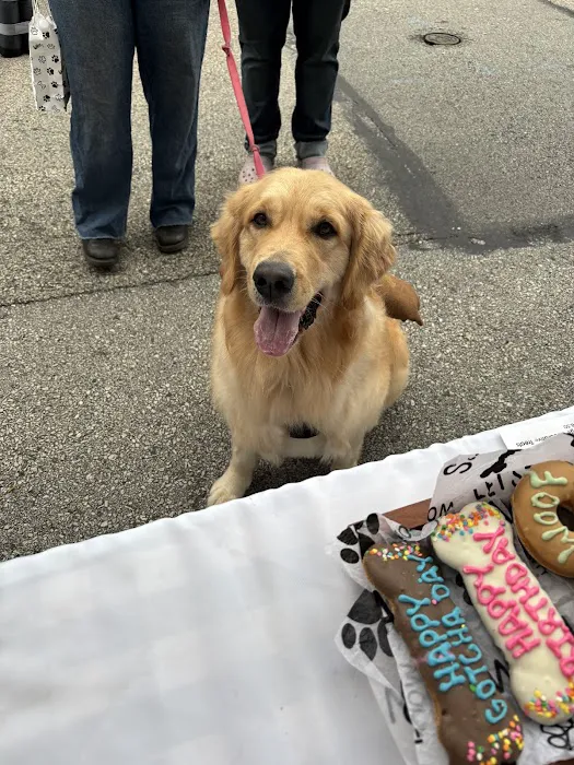 Whinnie's Barkery and Gift Boutique Picture 3
