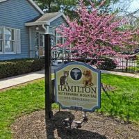 Hamilton Veterinary Hospital ico