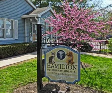 Hamilton Veterinary Hospital
