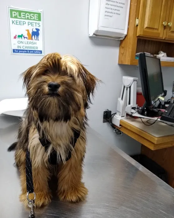 Hamilton Veterinary Hospital Picture 5