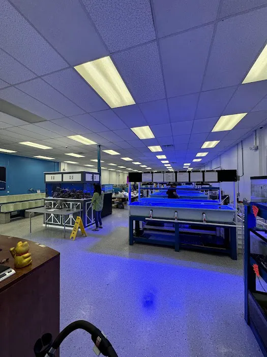 TSM Aquatics, Inc Picture 4