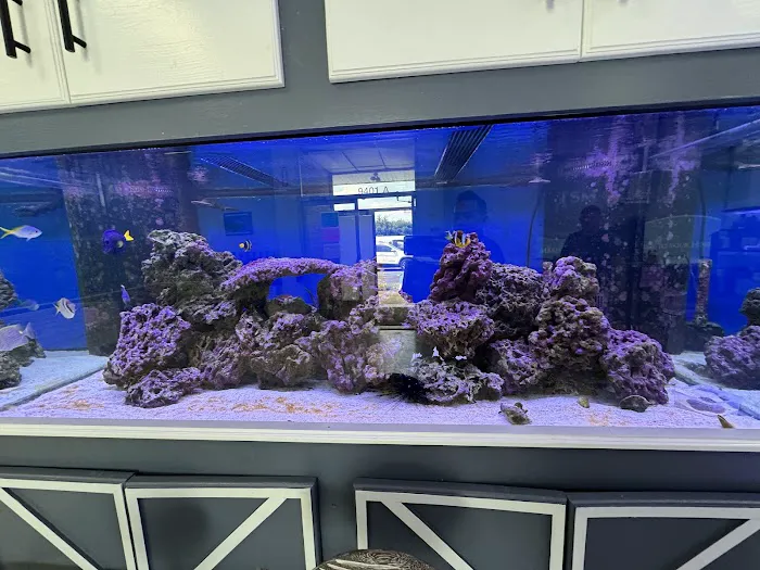 TSM Aquatics, Inc Picture 5