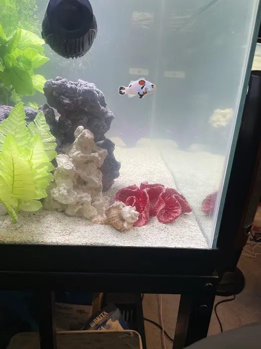 TSM Aquatics, Inc Picture 2