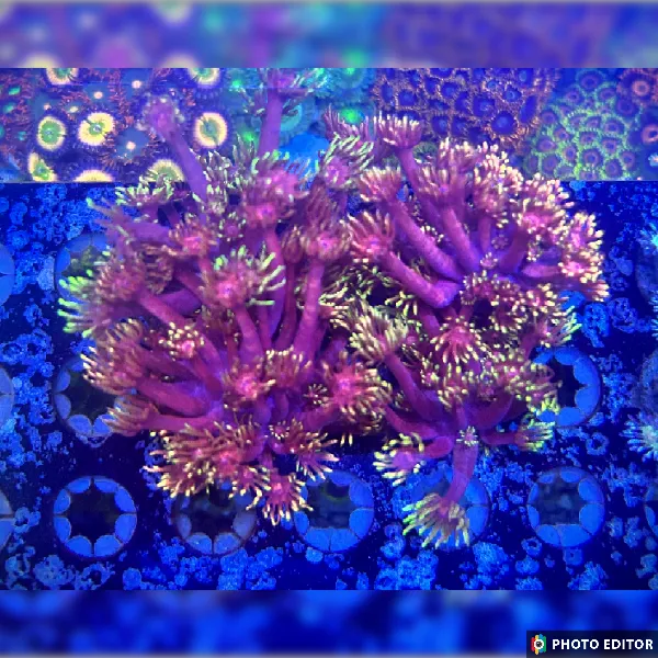 TSM Aquatics, Inc Picture 10