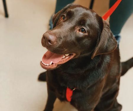 Deerwood Animal Hospital