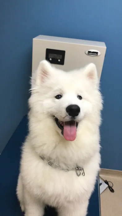 Deerwood Animal Hospital Picture 8