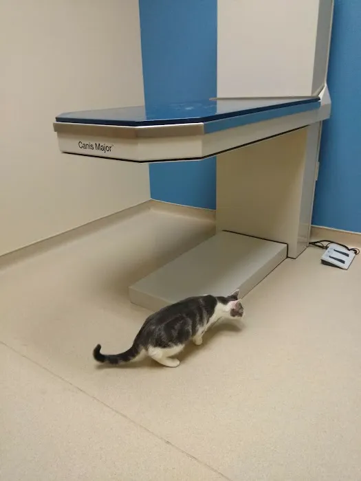 Deerwood Animal Hospital Picture 9