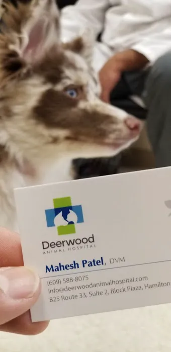 Deerwood Animal Hospital Picture 10
