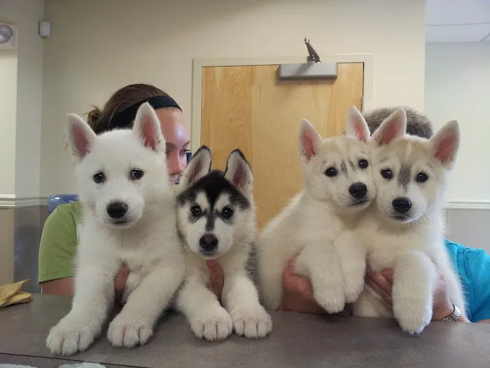 Veterinary Care Center Picture 2