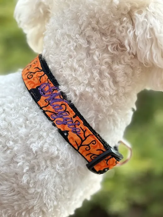 Sassy Dog Fashions Picture 1