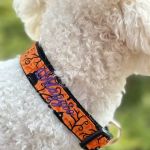 Sassy Dog Fashions