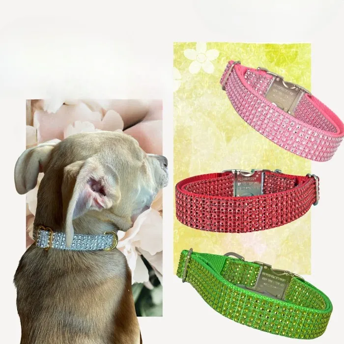 Sassy Dog Fashions Picture 2