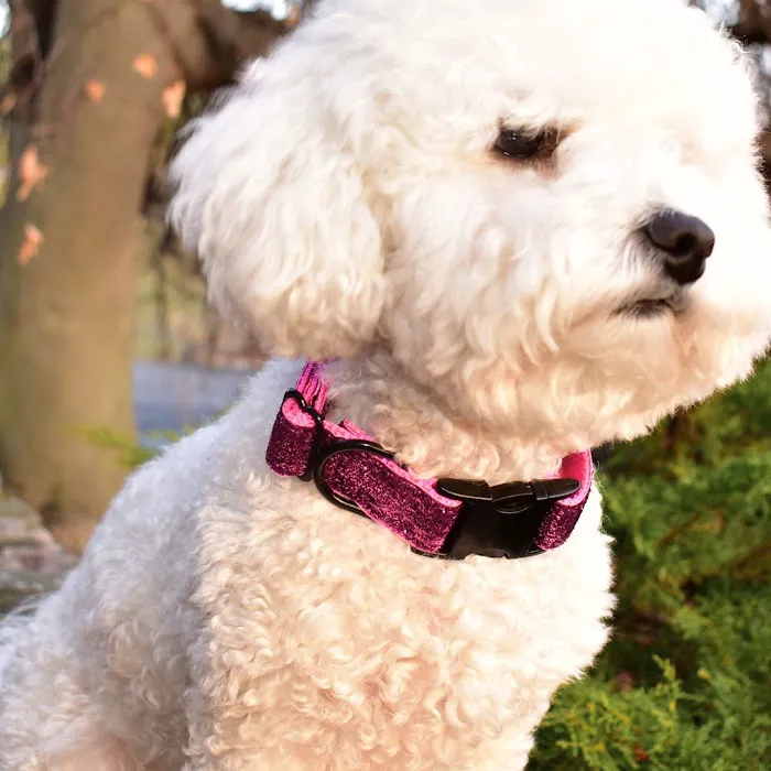 Sassy Dog Fashions Picture 4