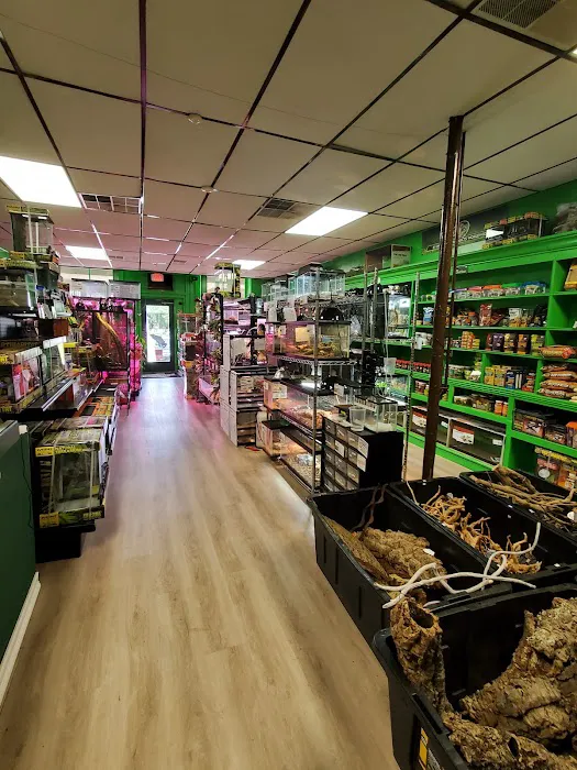 The Reptile Depot Picture 1