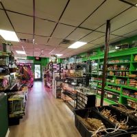 The Reptile Depot ico