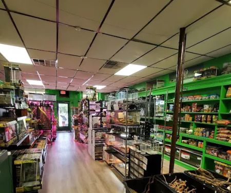 The Reptile Depot