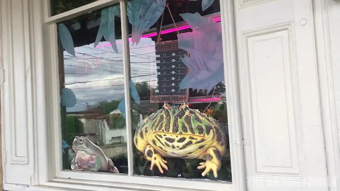 The Reptile Depot Picture 2