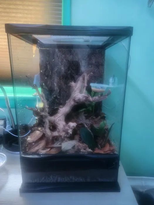 The Reptile Depot Picture 5