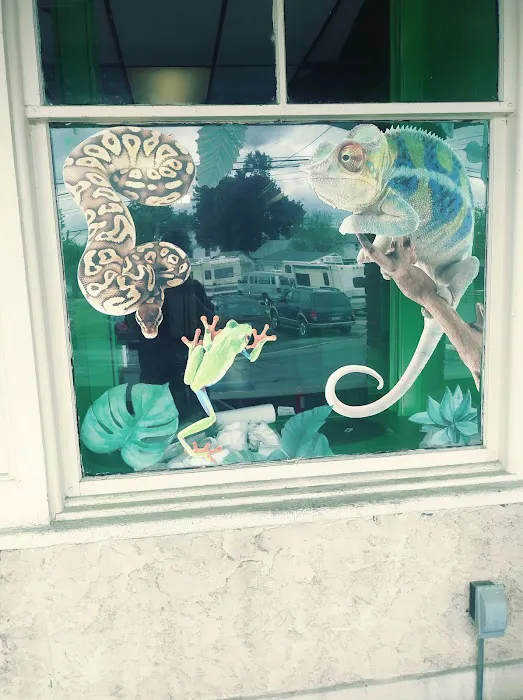 The Reptile Depot Picture 4
