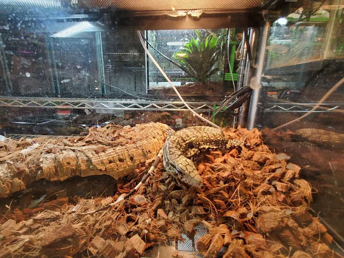 The Reptile Depot Picture 10