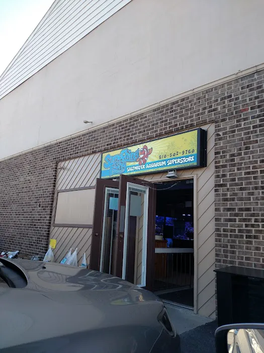 Something Fishy: Saltwater Aquarium Superstore Picture 1
